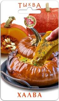 Тыква Халва (биотехника) 5 шт Тыква Халва (биотехника) 5 шт