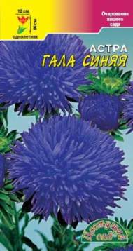 Астра Гала синяя (цветущий сад) 0,1гр Астра Гала синяя (цветущий сад) 0,1гр