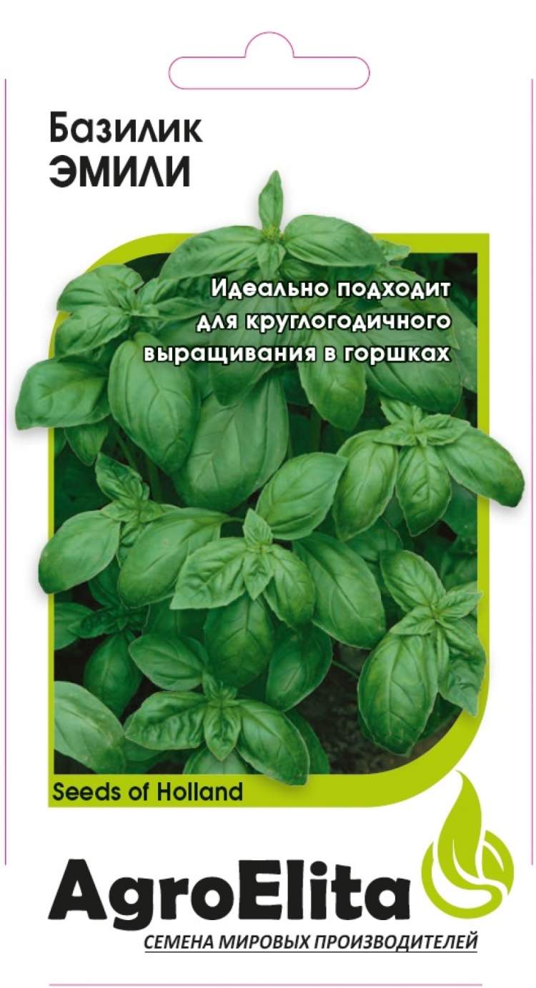 Базилик Рози Купить Семена