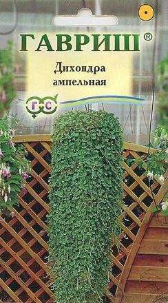 Дихондра Ампельная (гавриш) 4шт 