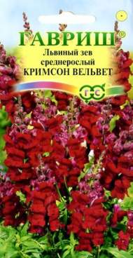 Антирринум (львиный зев) Кримсон вельвет (гавриш) 0,05гр Антирринум (львиный зев) Кримсон вельвет (гавриш) 0,05гр