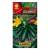 Кабачок Осьминог (Аэлита) 1,0 гр  – купить в г. Москва
