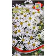 Брахикома Ева белая (дом семян) 180 шт