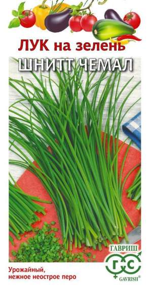 Лук шнитт на зелень Чемал (гавриш) 0,5 гр  – купить в г. Москва