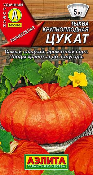 Тыква Цукат (аэлита) 1,0 гр  – купить в г. Москва