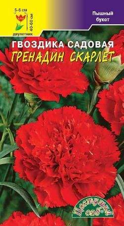 Купить Семена Гвоздики Лилипот