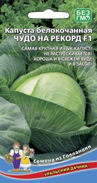 Капуста б/к Чудо на рекорд F1 (уд) 0,3гр Капуста б/к Чудо на рекорд F1 (уд) 0,3гр
