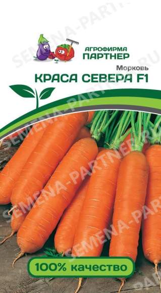  Морковь Краса севера F1 (пар) 0,5гр 