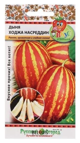 Дыня Ходжа Насреддин (нк) 5шт  – купить в г. Москва
