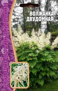 Волжанка Двудомная (Григорьев) 50шт Волжанка Двудомная (Григорьев) 50шт