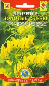 Дицентра Золотые слезы (плазмас) 3шт