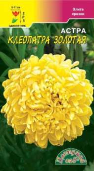 Астра Клеопатра золотая (цс) 0,2гр Астра Клеопатра золотая (цс) 0,2гр