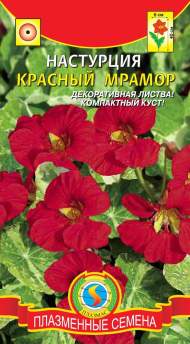 Настурция Красный мрамор (плазмас) 6шт Настурция Красный мрамор (плазмас) 6шт