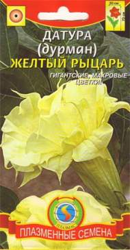 Датура Желтый рыцарь (п) 3шт Датура Желтый рыцарь (п) 3шт