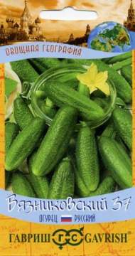 Огурец Вязниковский (гавриш) 0,5 гр