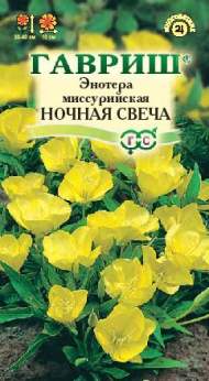 Энотера Ночная свеча (гавриш) 0,2гр