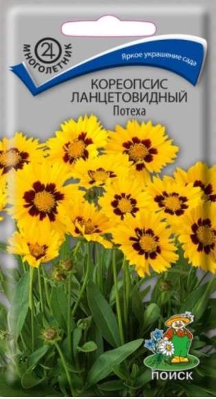 Кореопсис Потеха (поиск) 0,1 гр многолетник  – купить в г. Москва