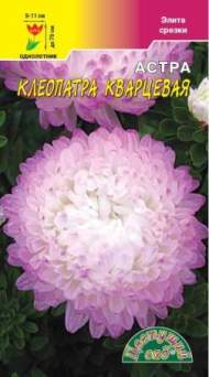 Астра Клеопатра кварцевая (цветущий сад) 0,2гр Астра Клеопатра кварцевая (цветущий сад) 0,2гр