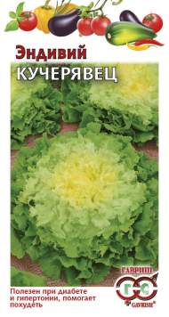 Эндивий Кучерявец (г) 0,1гр Эндивий Кучерявец (г) 0,1гр