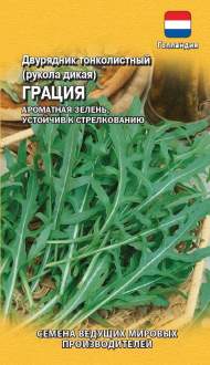 Рукола Грация (гавриш) 500 шт Рукола Грация (гавриш) 500 шт