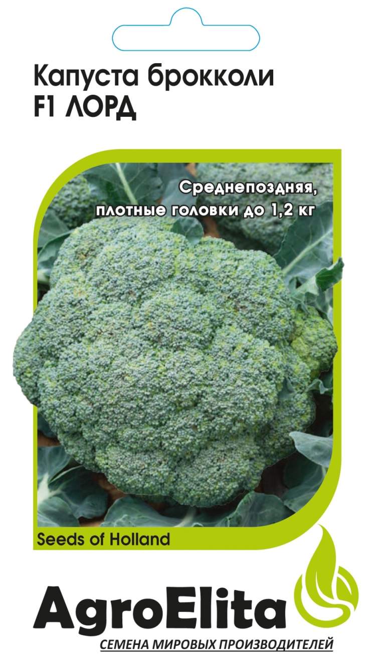 Тюмень Где Купить Семена Брокколи