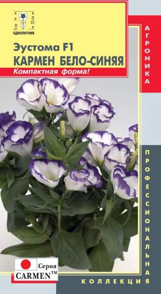 Эустома Кармен бело-синяя F1 (плазмас) 5шт 