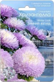 Хризантелла Зимний взгляд (биотехника) 30шт Хризантелла Зимний взгляд (биотехника) 30шт