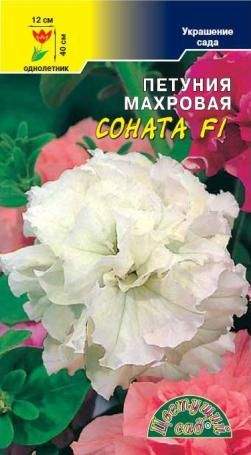 Петуния Соната Белая Махровая Купить