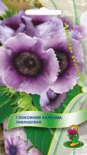 Глоксиния Харизма лавандовая (поиск) 5шт