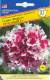Петуния махровая Пируэт розовый F1 (престиж) 5шт  – купить в г. Москва