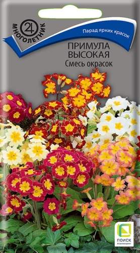 Примула Высокая смесь (поиск) 0,01 гр  – купить в г. Москва