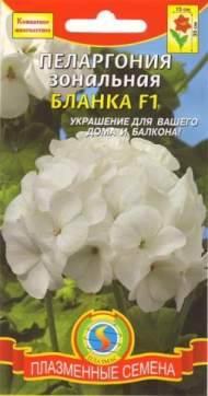 Пеларгония Бланка F1 (п) 3шт Пеларгония Бланка F1 (п) 3шт