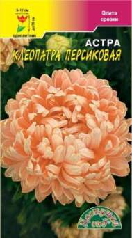 Астра Клеопатра персиковая (цветущий сад) 0,2 гр