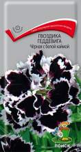 Гвоздика Геддевика черная с белой каймой (поиск) 0,04г