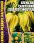 Клематис Тангутский (Григорьев) 10шт  – купить в г. Москва