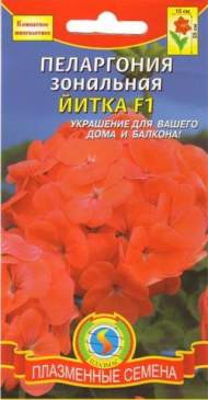 Пеларгония Йитка F1 (п) 3шт Пеларгония Йитка F1 (п) 3шт