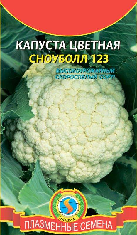 Капуста цветная сноуболл 123 характеристика и описание сорта фото