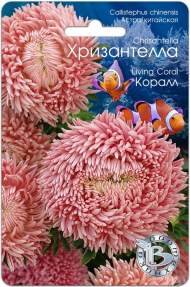 Хризантелла Коралл (биотехника) 30шт Хризантелла Коралл (биотехника) 30шт
