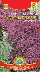  Тимьян ползучий пурпурный ковер (п) 0,05гр 