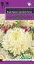 Астра Леди Корал кремово-белая (гавриш) 0,05гр  – купить в г. Москва