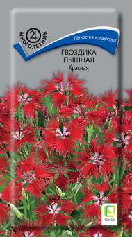 Гвоздика пышная Красная (поиск) 0,1гр многолетник Гвоздика пышная Красная (поиск) 0,1гр многолетник