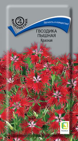 Гвоздика пышная Красная (поиск) 0,1гр многолетник 