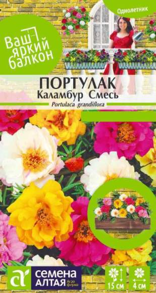 Портулак Каламбур смесь (семена Алтая) 0,1 гр  – купить в г. Москва