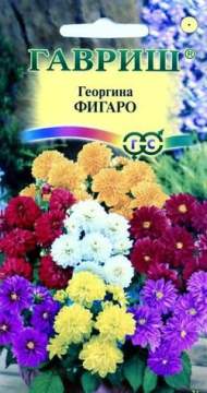 Георгина Фигаро (гавриш) 7 шт Георгина Фигаро (гавриш) 7 шт