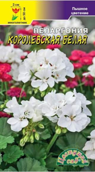Пеларгония Королевская Белая (цветущий сад) 0,02гр 
