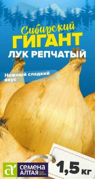 Лук репчатый Сибирский гигант (семена Алтая) 0,2гр 