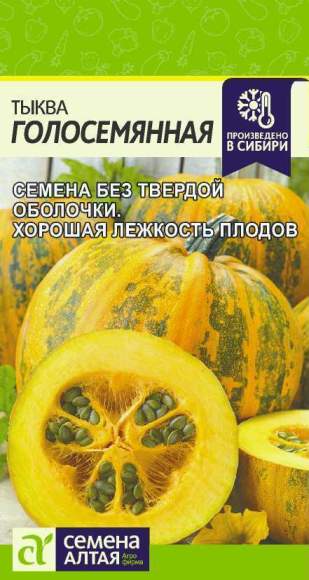 Тыква Голосемянная (семена Алтая) 5 шт 
