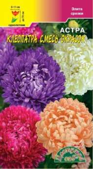 Астра Клеопатра смесь (цветущий сад) 0,2гр Астра Клеопатра смесь (цветущий сад) 0,2гр