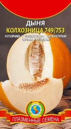 Дыня колхозница 749/753 (плазмас) 0,5гр  – купить в г. Москва