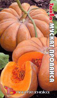 Тыква Мускат прованса (биотехника) 5шт